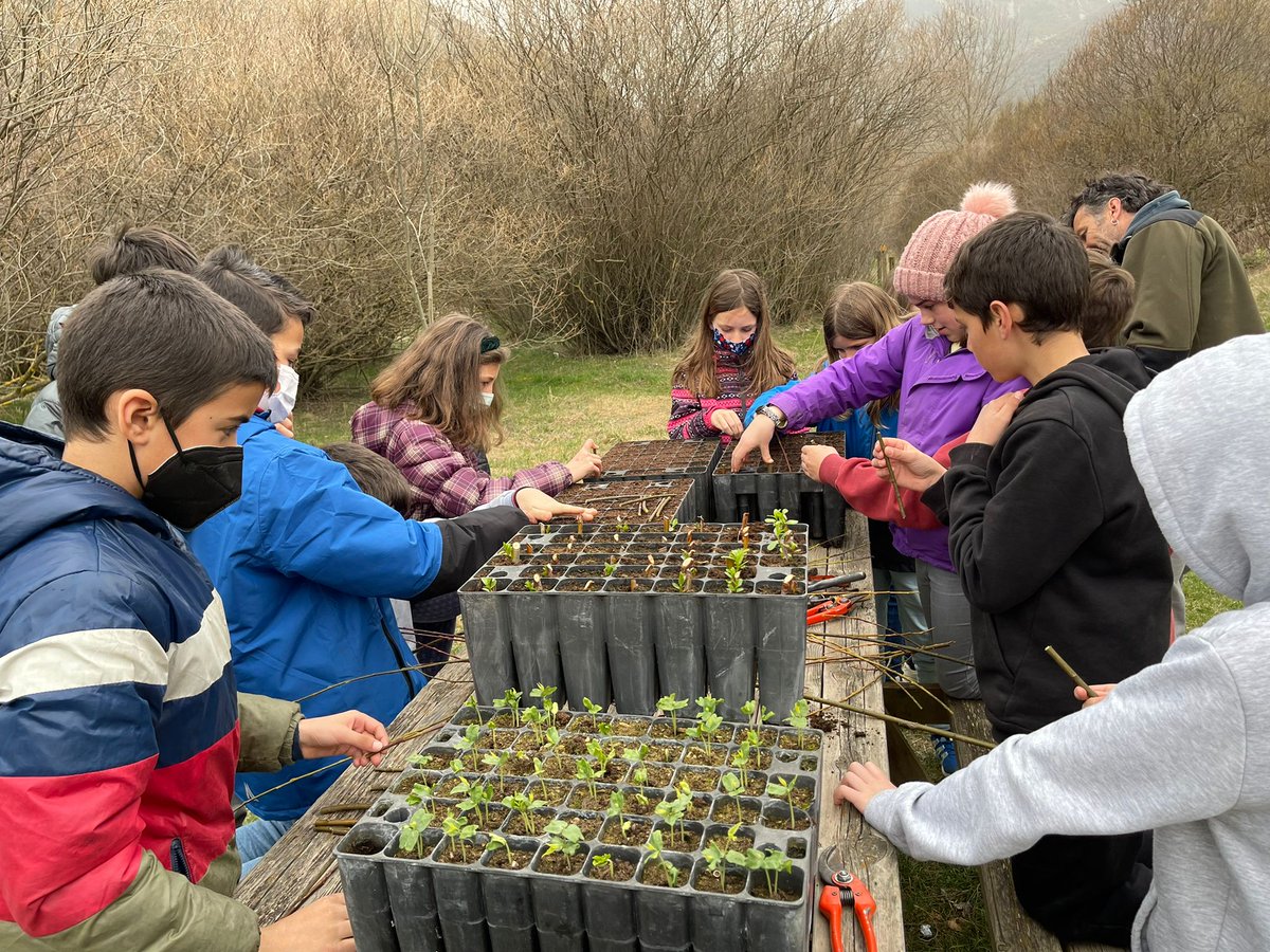 AjValldeBoi's tweet photo. Jornada de la classe pràctica de preparació d'#esqueixos de #bedoll i #salenca en el marc del projecte @phusicos del Barranc d'#Erill. Agraïment als participants, Carles Raimat, Forestal Catalana i col•laboradors del projecte! https://t.co/5Lu3r12RMK