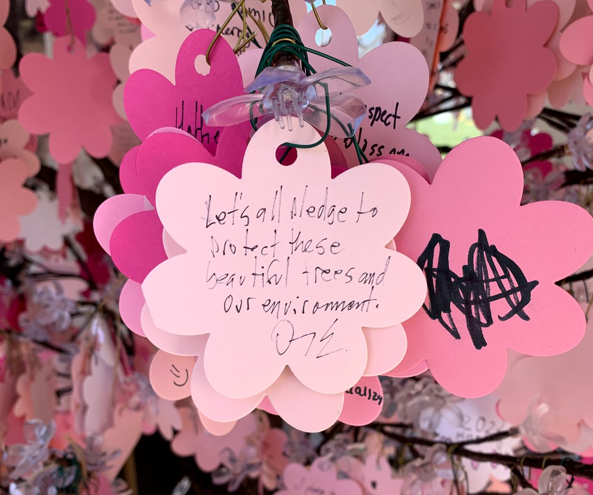 NationalMallNPS's tweet photo. Everyone loves the cherry blossoms! Thanks to @SecondGentleman Douglas Emhoff for stopping by the Tidal Basin today to get a passport stamp and hang a note on the Pledge Tree. 🌸🌸🌸
#CherryBlossom #WashingtonDC https://t.co/FchEjlwaJF