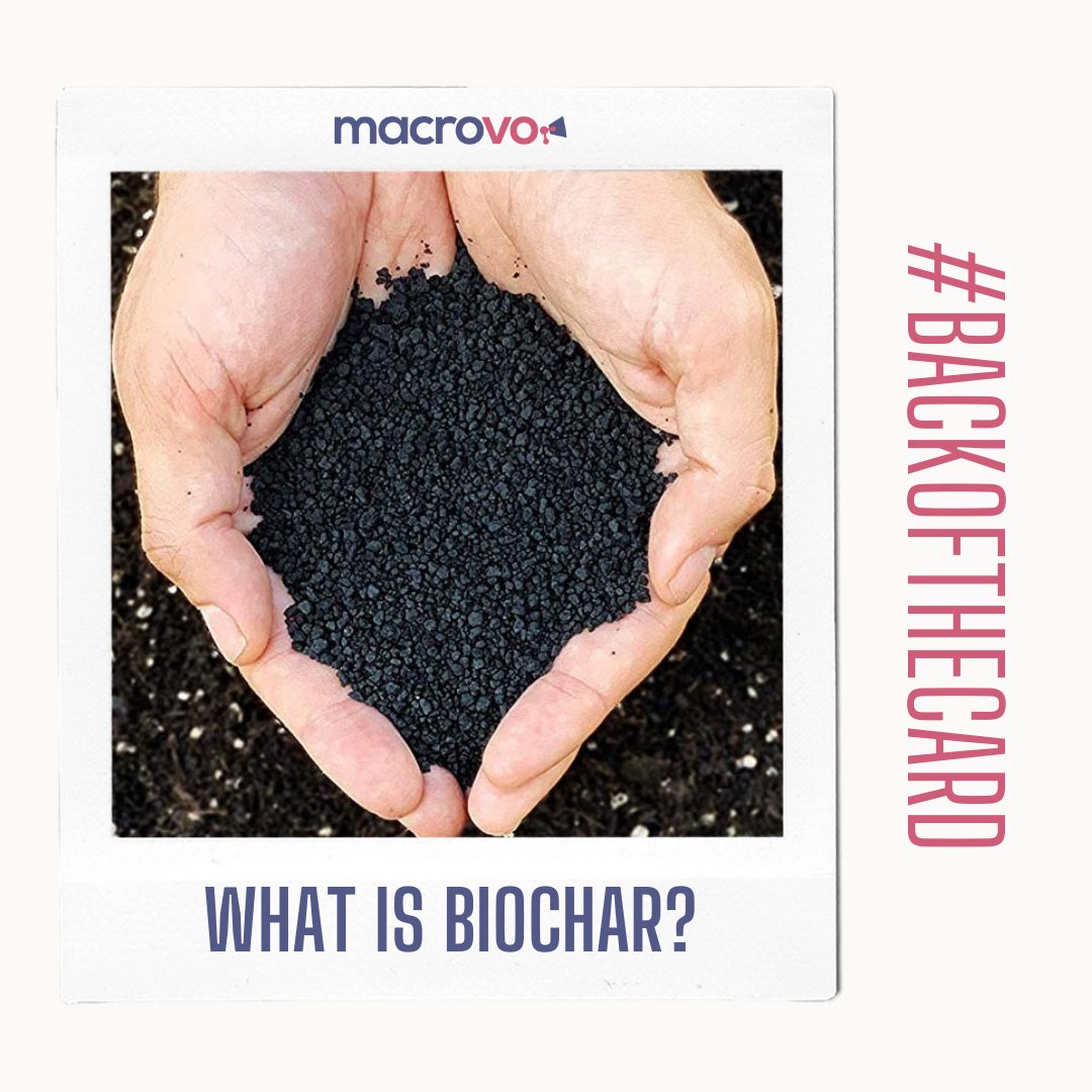 macrovo's tweet photo. Amazonian Dark Earth, or as modern scientists call it: Biochar. β«
Is Biochar a feasible solution to top-soil depletion and chemical agriculture?
Read our article and share your opinion at https://t.co/vNnARPdmm0!
#macrovo #biochar #sustainability #nature #shareyouropinion https://t.co/eeMmiFhERU