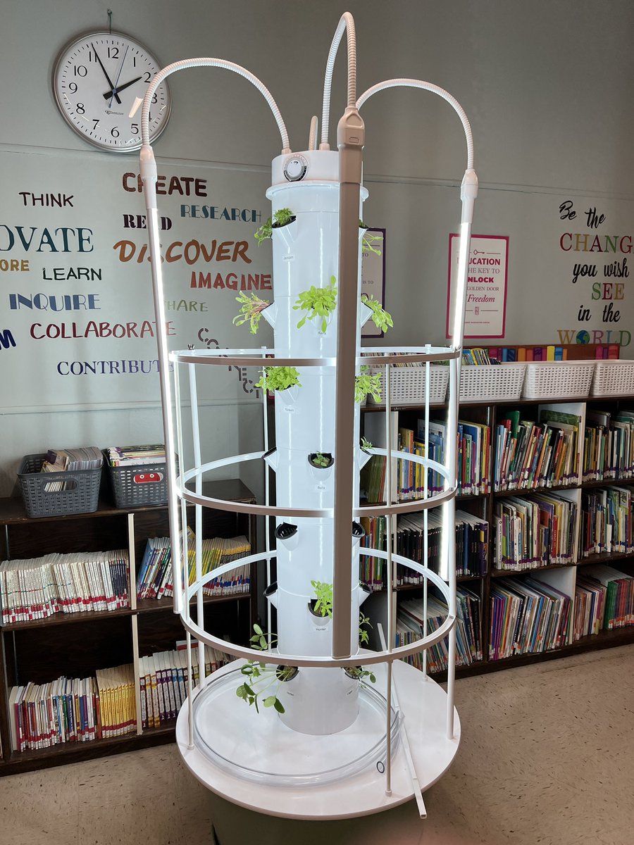 MichaelOToole71's tweet photo. What a great day at LBS! Working with Ms. Savoie’s Grade 4 Class &amp; we have transplanted our seedlings to the @TowerGarden ! What an exciting moment for the students. Now we have to watch the seedlings grow. @asdnnb https://t.co/G7cc5DTywF