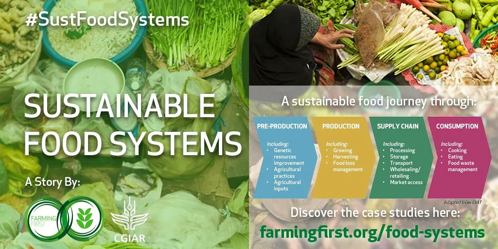 CGIARnutrition's tweet photo. Across sub-Saharan Africa and Bangladesh, orange-fleshed sweetpotato has already been provided to 2.3 million households with children under the age of five.
πGreat work @Cipotato and @A4NH_CGIAR!
https://t.co/8qhVheHtCM
#SustFoodSystems @farmingfirst @CGIAR https://t.co/TN0A6pTiBk