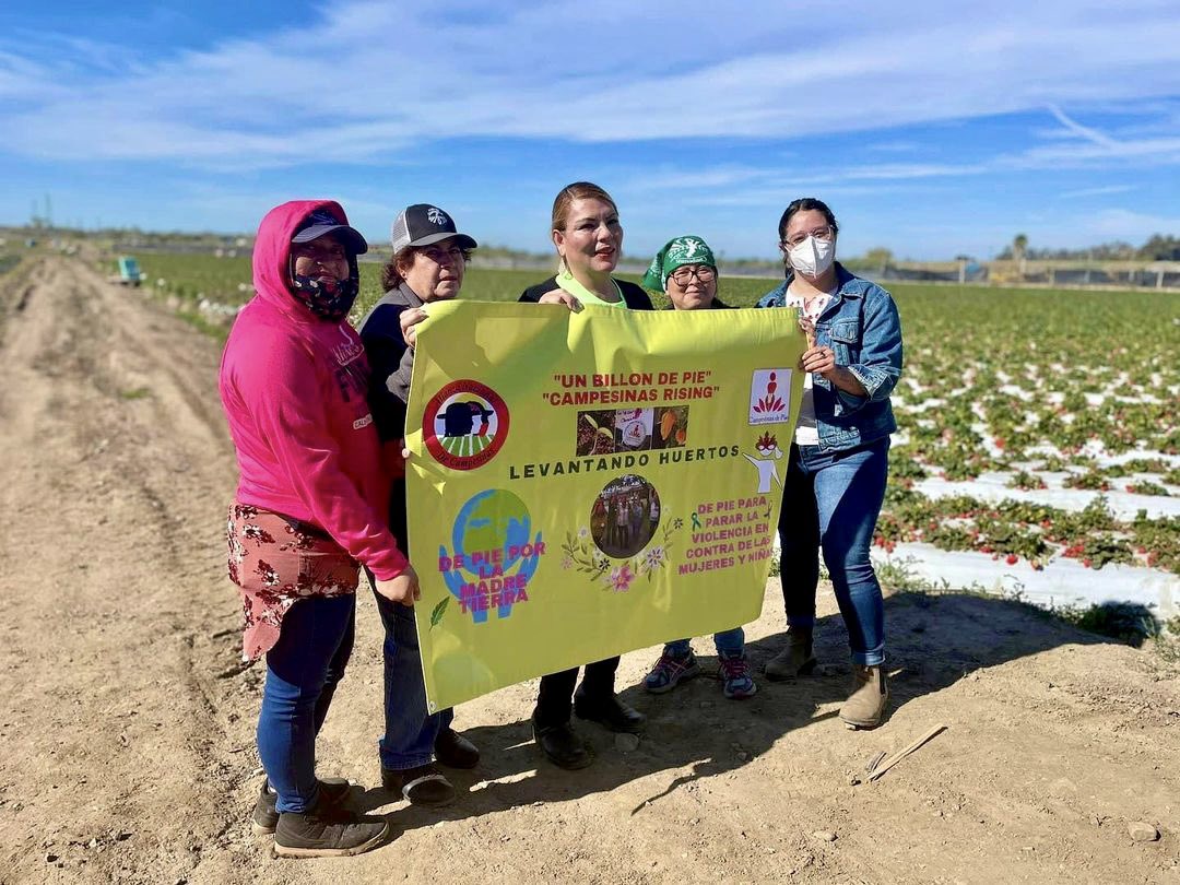 'March 25th marked the first day of #FarmworkerAwarenessWeek. On the first day, #LíderesCampesinas joined @campesinasunite in the #CampesinasDePie Campaign' - (📸) @liderescampesinas (#California, USA)

#NationalFarmworkerAwarenessWeek #VDay #1BillionRising #RiseCreateReclaim