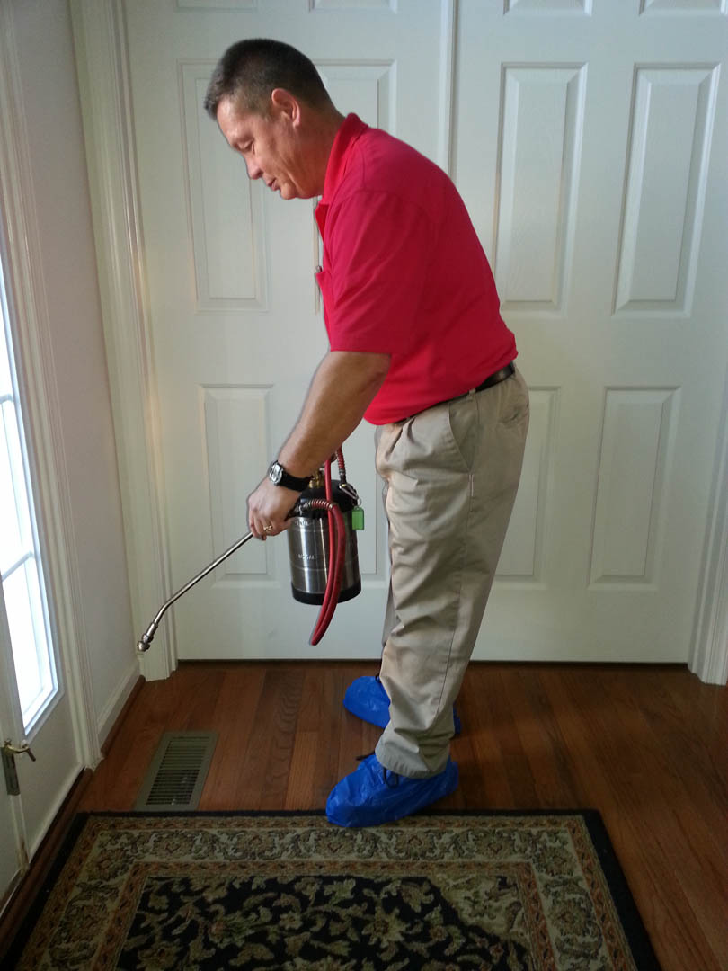 AmericanPestCo1's tweet image. We provide top-quality pest control services and quick response to emergencies. Our company understands the importance of a pest-free space. #BedBugPestControl #ResidentialExtermination #CommercialPestControl bit.ly/3GIcWUu