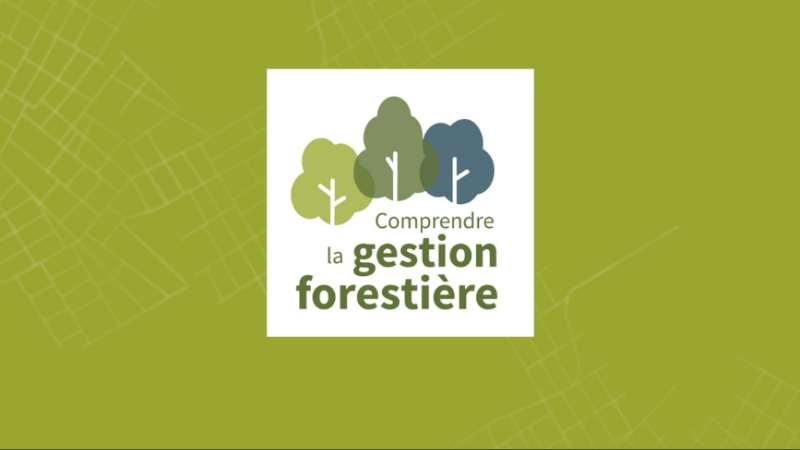 ONF_Officiel's tweet photo. Avec ce cours en ligne (#mooc) "Comprendre la gestion forestière", apprenez tout ce que vous voulez savoir sur les forêts. 
🗓 Du 2/05 au 4/07
🕐 15h de formation
⌛ 3 heures/semaine

C’est organisé par @FunMooc avec l'#ONF, @AgroParisTech et @INRAE_France (@regiongrandest). https://t.co/3L4XdtltcH