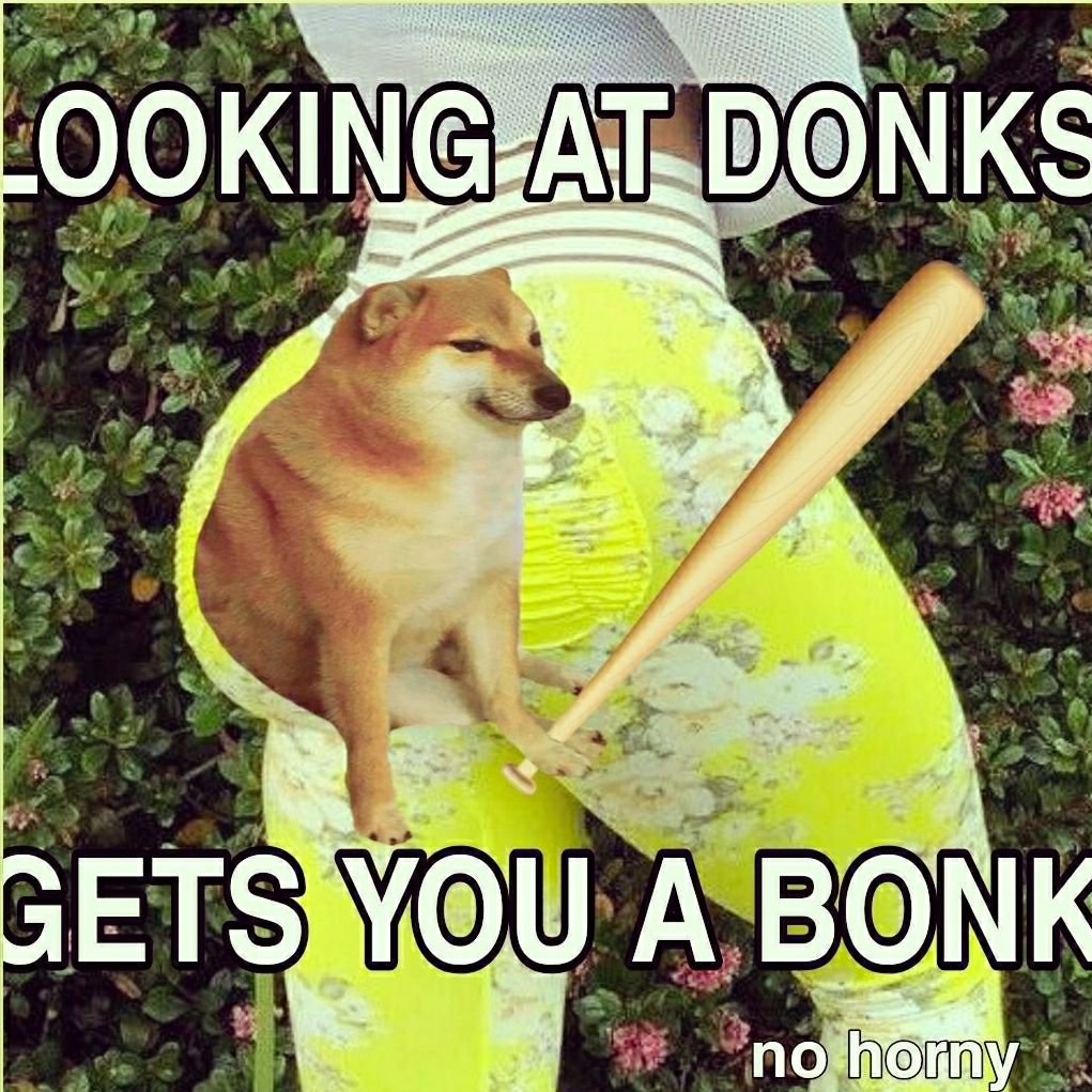 TheBonker711's tweet photo. @mikaya_mia No horni https://t.co/5MKpCdJWCf