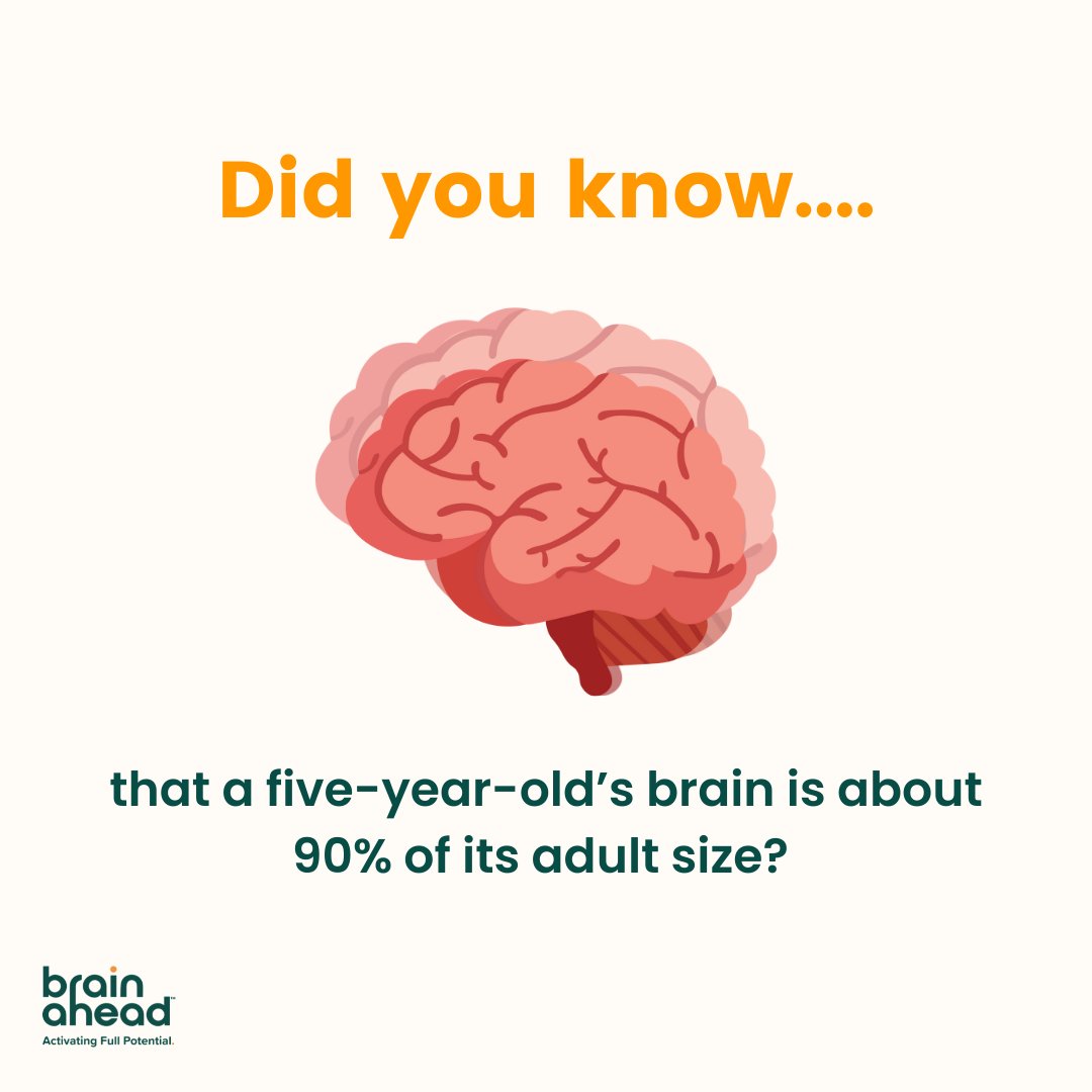 Did you know that a five-year-old’s brain is about 90% of its adult size? #brainfacts #edtech #elearning #edtechbridge #kidsdeserveit #brainfacts