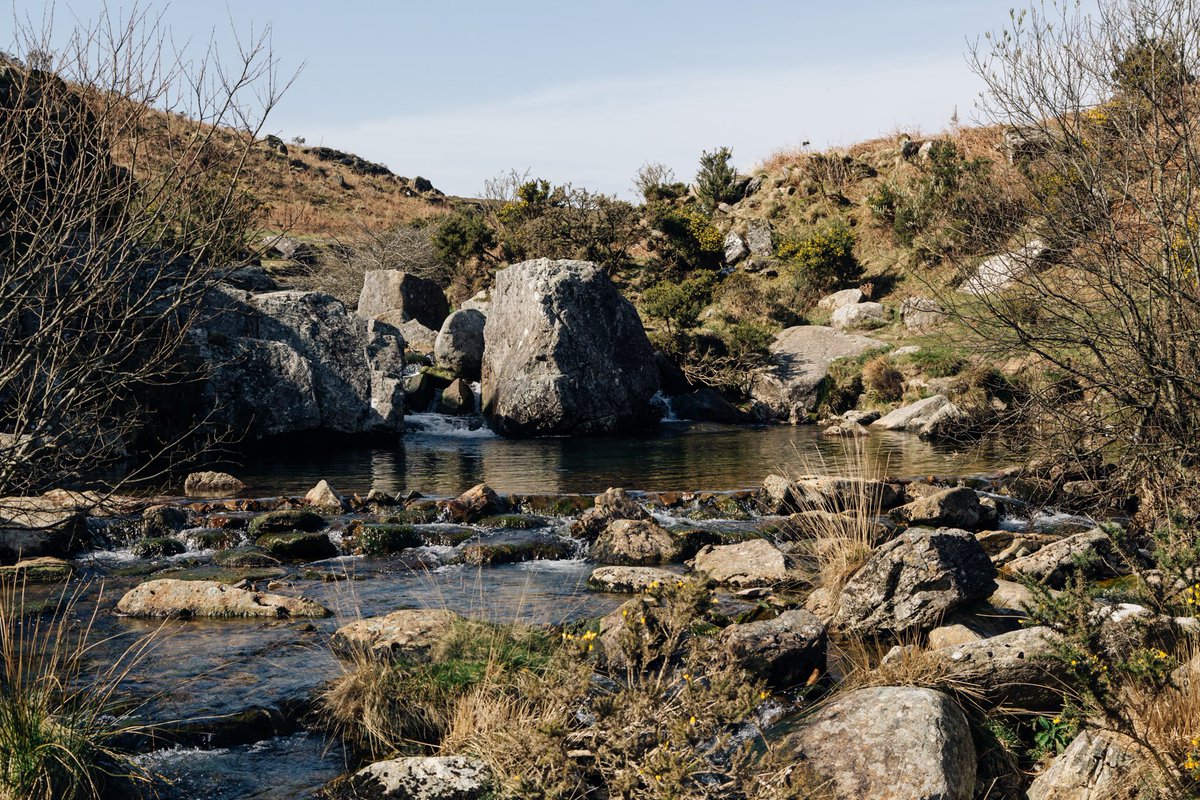 MollyRowlands_P's tweet photo. Beautiful landscapes on the way to swim locations @dartmoorcollect @dartmoornpa https://t.co/KyDLMKhRQd