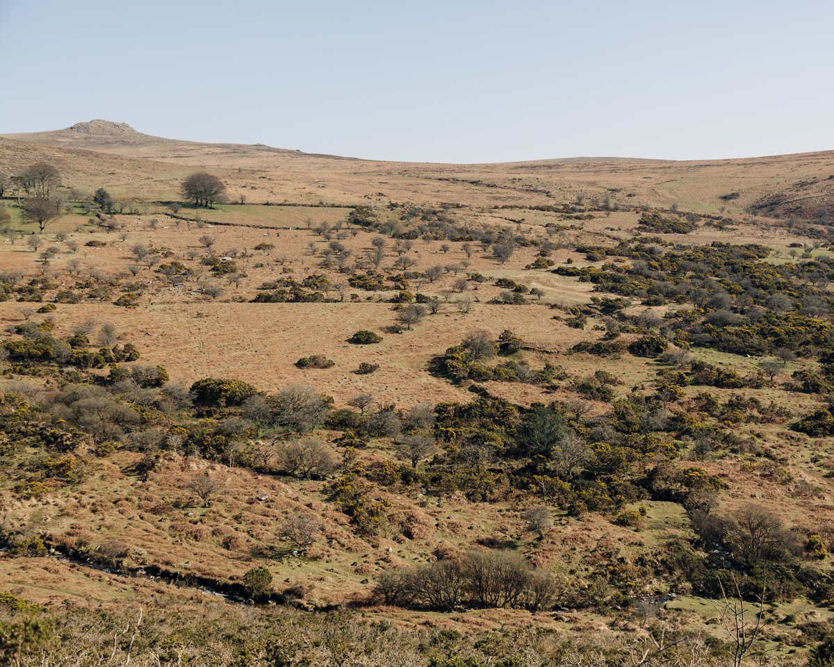 Beautiful landscapes on the way to swim locations <a href="/dartmoorcollect/">Dartmoor Collective</a> <a href="/dartmoornpa/">Dartmoor National Park</a>