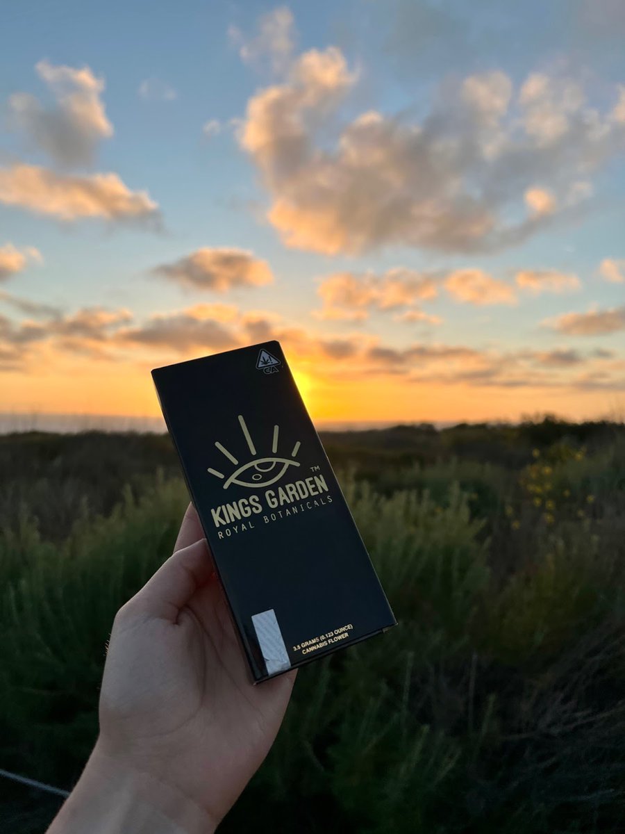 KingsGardenInc's tweet photo. Live Royally anytime, anywhere, with KG Pre-roll packs 👑 A full eighth, rolled up into 5, 0.7g joints, ready for wherever your weekend takes you!

#KingsGarden #TheKingsWay #KingofWeed #WhenQualityMeetsQuantity #KingsGardenFamily https://t.co/WPX3DsmXhk