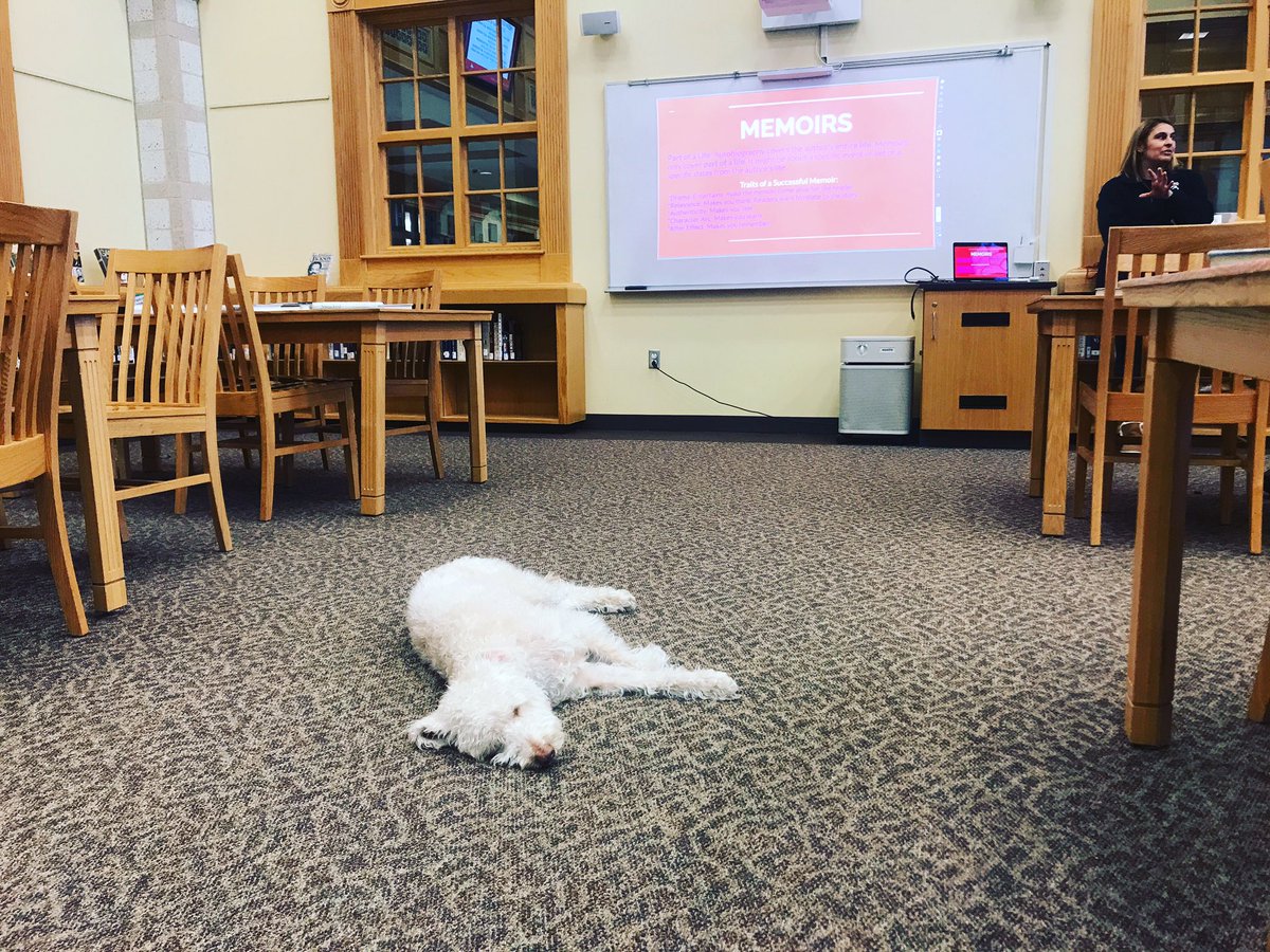 Ms. Sassy on duty 🥰…