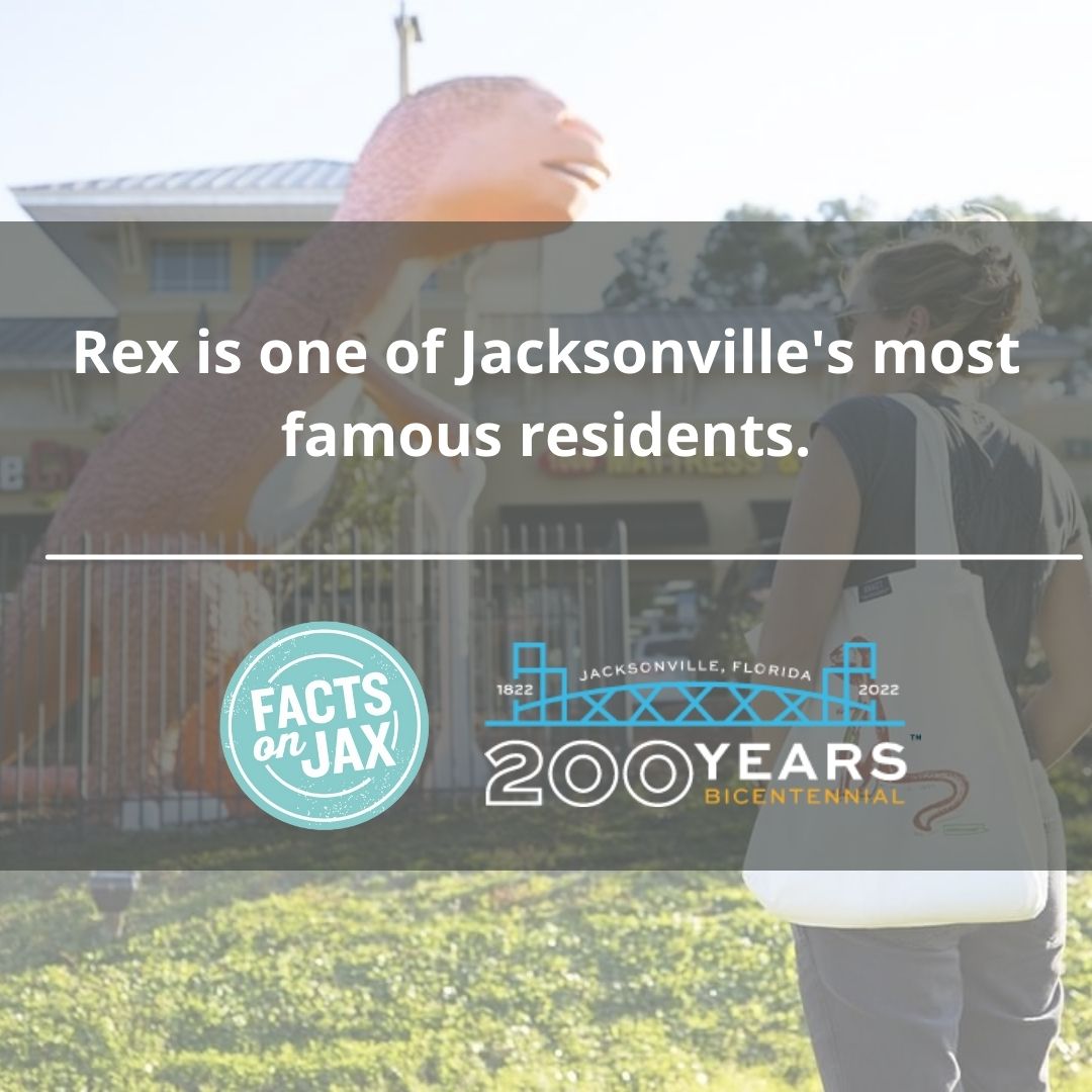 visit_jax tweet media