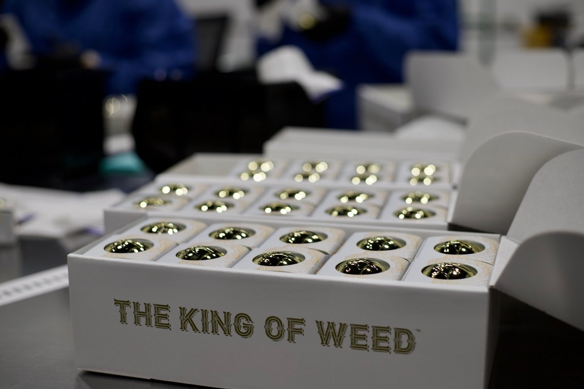 KingsGardenInc's tweet photo. Batter up 🍯  Always extracted in-house, featuring your favorite KG strains and some new crosses for a concentrate experience that packs a punch of both terp-rich flavor and powerful effects!

#KingsGarden #TheKingsWay #KingofWeed #WhenQualityMeetsQuantity #KingsGardenFamily https://t.co/405XJzK6hW