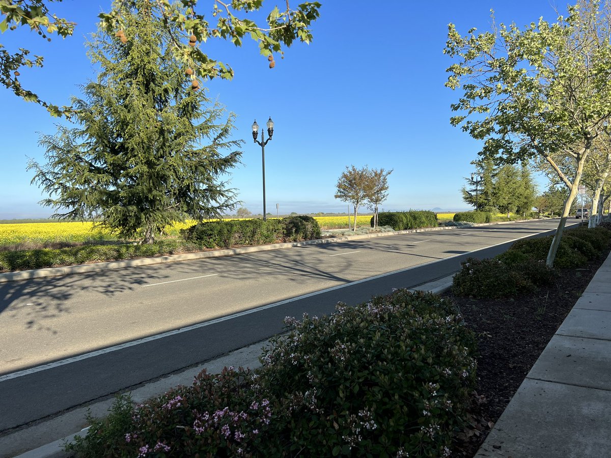 Supervisor Bradford tweet media