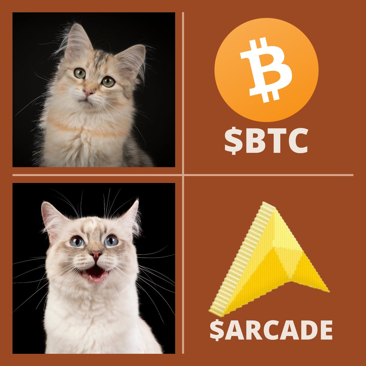 HiddenBanglaCM's tweet photo. $ARCADE 😆

@arcade2earn #Arcade https://t.co/IdRfWV4NQ4