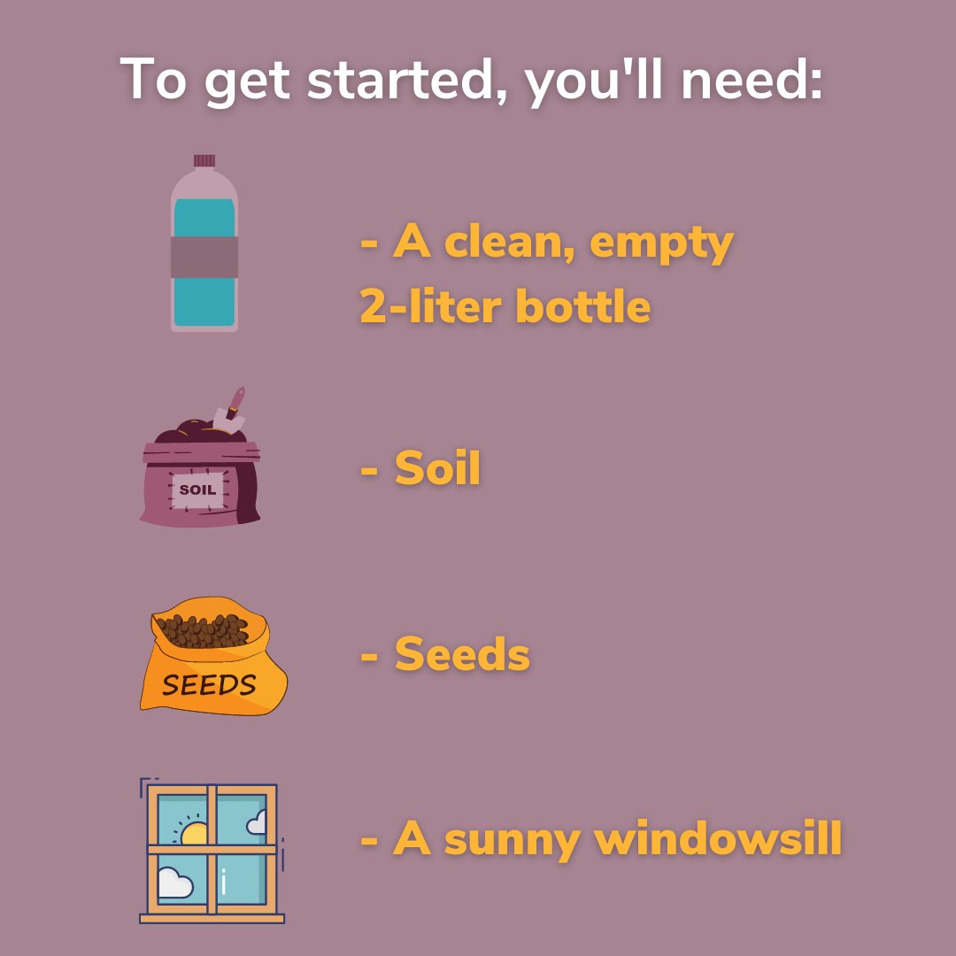 WEconnect_now's tweet image. Spring is in the air! Today, our resident Peer plant expert Nate shows us a cheap and easy DIY tactic to start growing seeds from household items. Try it out! Happy new growth🌱
#RecoveryDoesntSucc #SpringDIY #PlantParent #PlantObsessed #SpringHacks #SeedStarter #Recovery #Growth