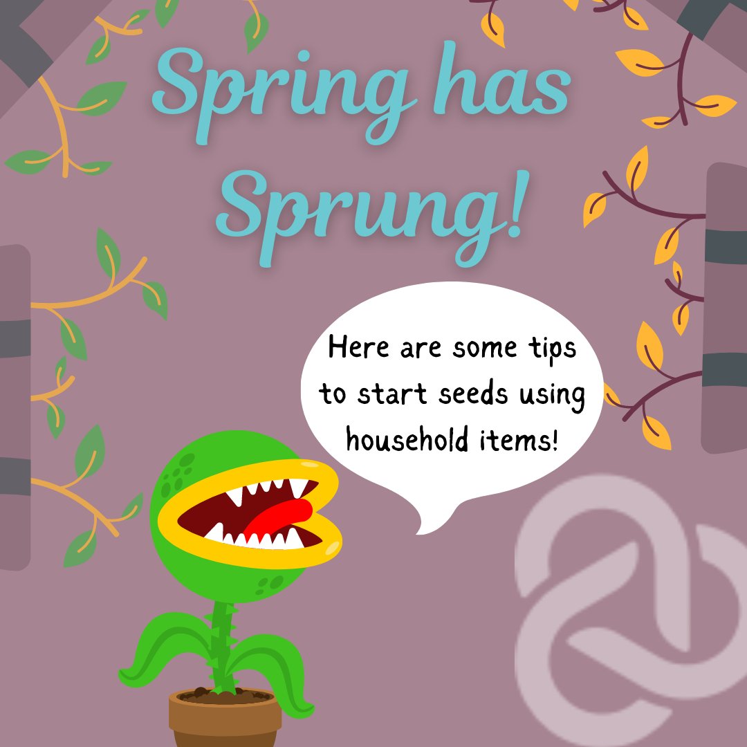 WEconnect_now's tweet image. Spring is in the air! Today, our resident Peer plant expert Nate shows us a cheap and easy DIY tactic to start growing seeds from household items. Try it out! Happy new growth🌱
#RecoveryDoesntSucc #SpringDIY #PlantParent #PlantObsessed #SpringHacks #SeedStarter #Recovery #Growth