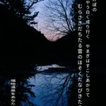 ツイートに含まれる画像