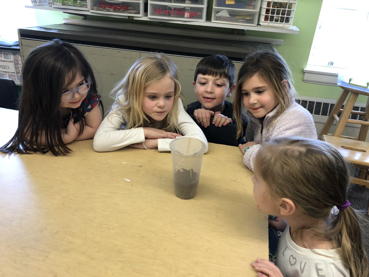 AssistSupEaston's tweet photo. Such excitement at Moreau Hall today! Crickets in Kindergarten!! @KnowAtom @SupEaston @SixTenPrincipal #WeDigEPS https://t.co/kUXcjzsunq