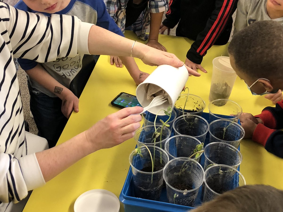 AssistSupEaston's tweet photo. Such excitement at Moreau Hall today! Crickets in Kindergarten!! @KnowAtom @SupEaston @SixTenPrincipal #WeDigEPS https://t.co/kUXcjzsunq