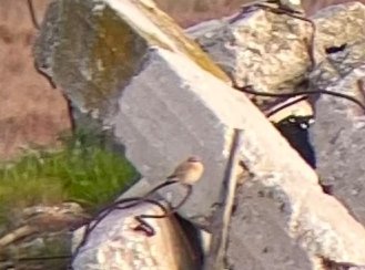 Yiannis Banakakis tweet media