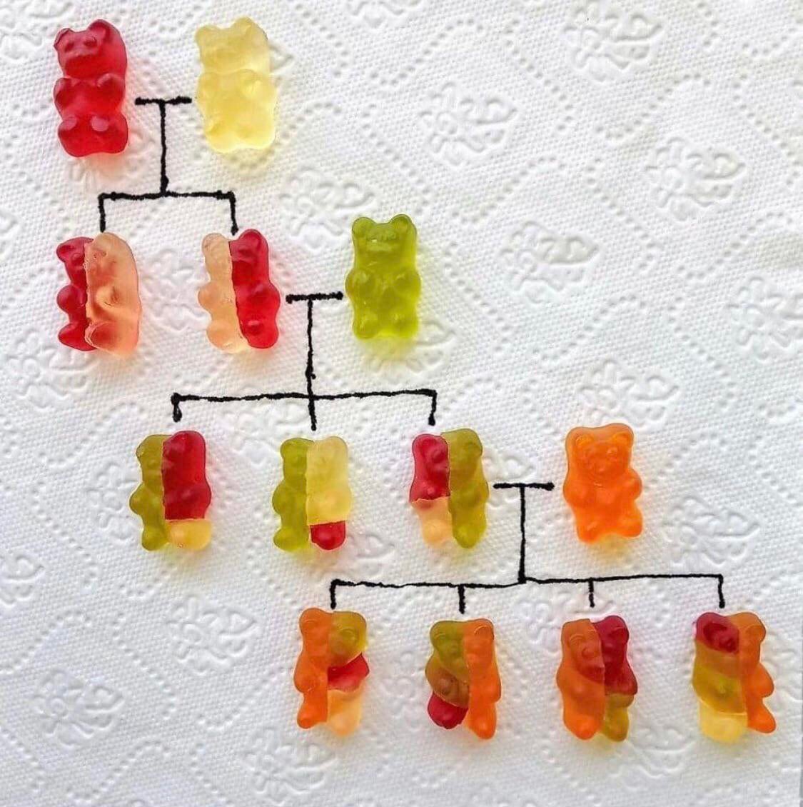 An all-time classic: Genetics explained with gummy bears…
