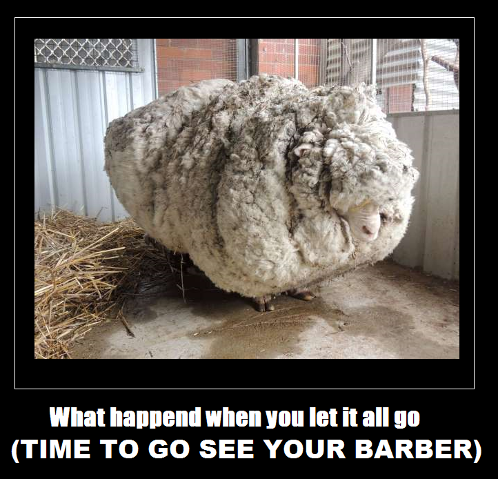 toronto_barber's tweet photo. Extended hours for PASCHAL SEASON! Go see Peter b4 your family sees ewe! #barber #barbernearme #barbershop #pascha #easter #passover #weston #mimico #rexdale #humberlea #emery #richview #downsview #longbranch https://t.co/Hfu5jJ9BDe