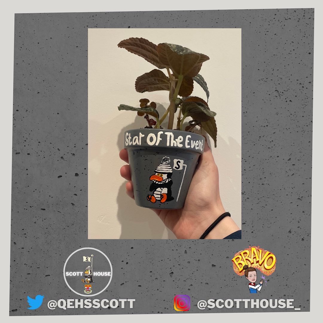 QEHSScott's tweet photo. Can’t wait to give out the Star of the Event trophies tomorrow 🏆🐧 https://t.co/PuKN4iGLbu