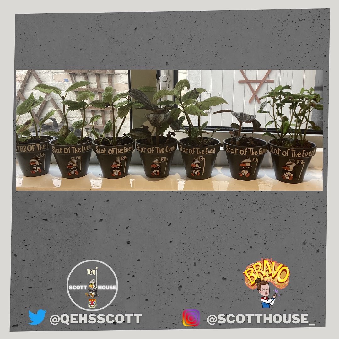 Can’t wait to give out the Star of the Event trophies tomorrow 🏆🐧