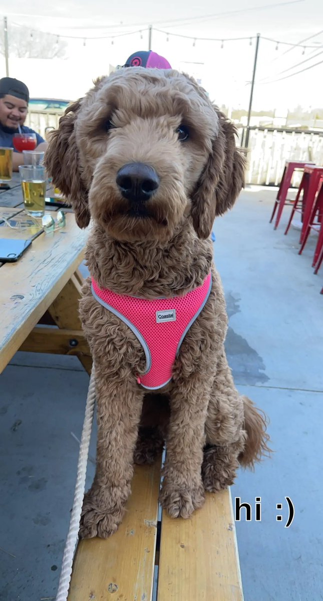 larry the cable skye tweet media