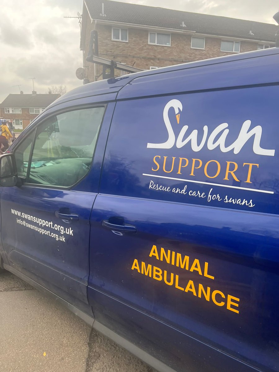 aldryngton's tweet photo. Our family of Egyptian Geese were collected up today by @swan_support  to spend their time in Windsor Great Park. https://t.co/x8ekVmBoW1