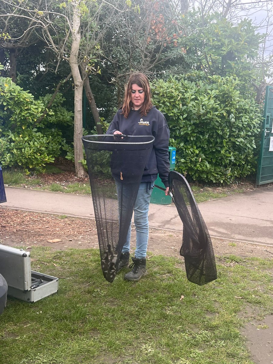 aldryngton's tweet photo. Our family of Egyptian Geese were collected up today by @swan_support  to spend their time in Windsor Great Park. https://t.co/x8ekVmBoW1