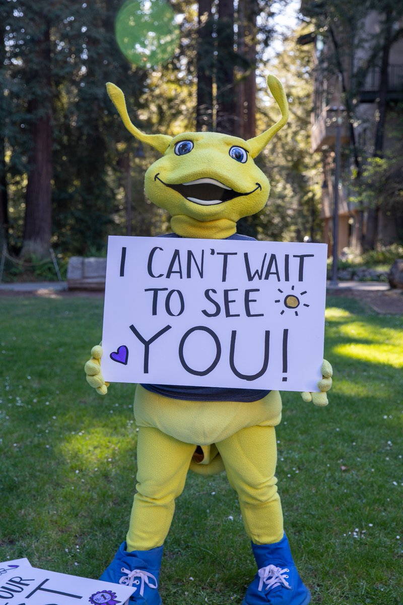 UCSCBayTree's tweet image. Welcome Back Slugs! Hope your spring break was fun. Classes are back and so are the supplies! Stop into the Baytree Campus Store for your supplies before they run out!

#UCSC #UCstyle #books #coursematerials #sammyslug #baytree #baytreecampusstore