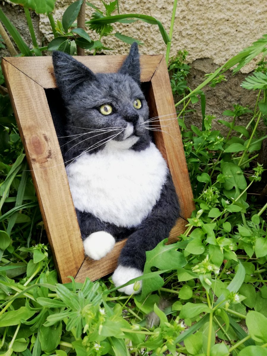 MiddleNeedle's tweet photo. Duman...
.
#kedi #hayvanseverler #sanat #art #keçeiğneleme #keçesanatı https://t.co/ZRZnTsOUpL