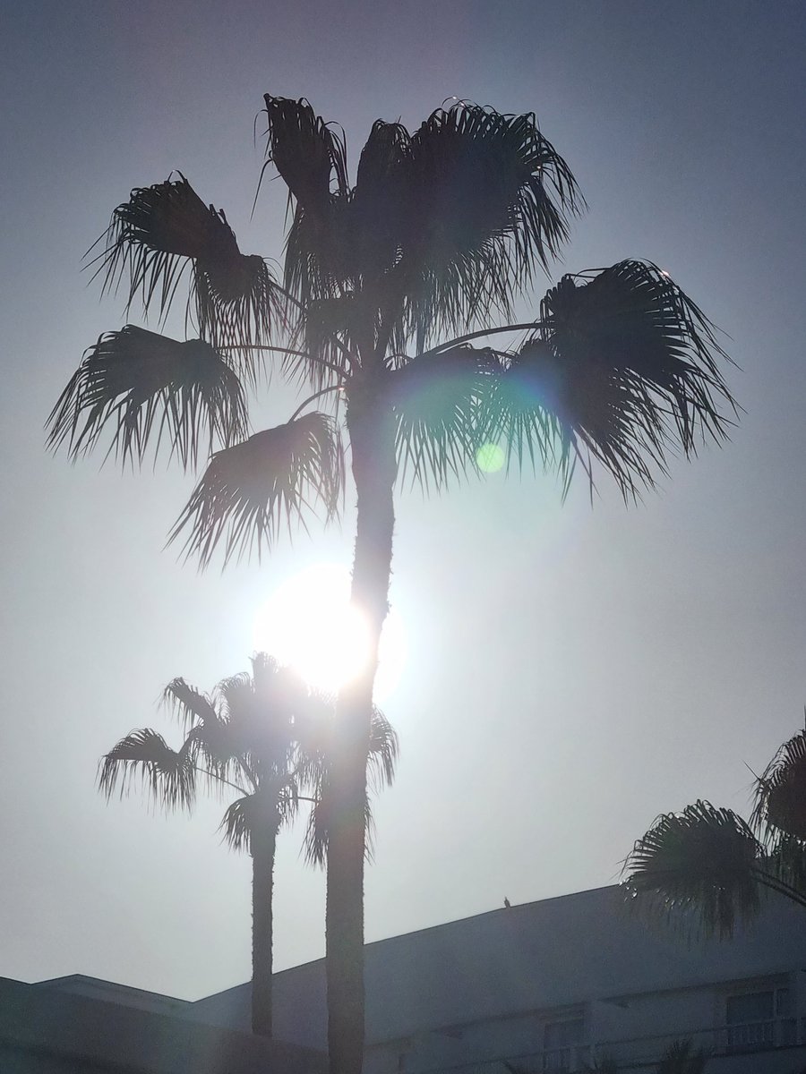 jk176's tweet photo. The sun is shining ☀️ https://t.co/309QXhFqhh