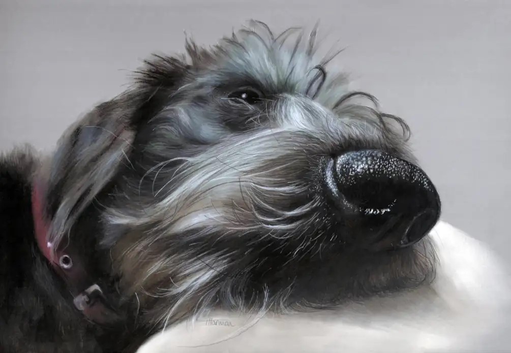 PatchingsArt's tweet photo. A painting called Stanley by Trudy Harman - just one example of the super entries receievd so far for the 2022 TALP Open Competition. Still time to make your entry. https://t.co/SDdMYseNLu