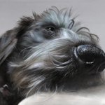Photo by Patchings Art Centre (@PatchingsArt)