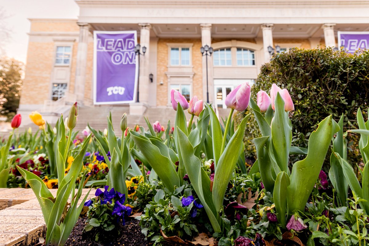 TCU's tweet photo. It's the most beautiful time of the year! π·#TCUTulips
Check out more springtime on campus photos at: https://t.co/UZUT7RQZ5S https://t.co/003zA1aFhu