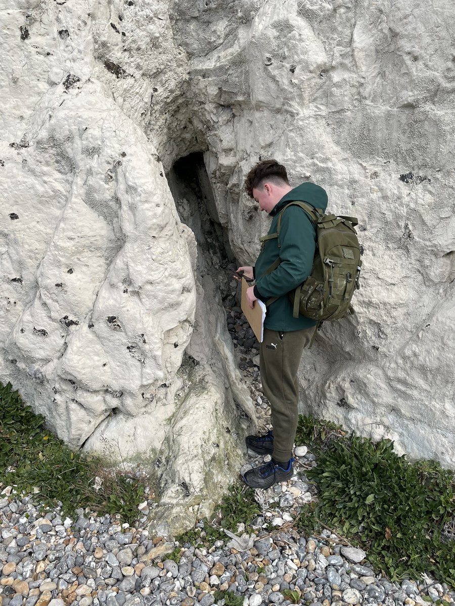 london_clay's tweet image. A bit of lunchtime reflection and a cliff transect #systematicsampling #gcsegeography @TrinitySchBelvd @trinitasacademy