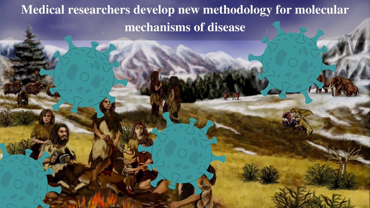 EvolutionVU (@evolutionvu) on Twitter photo Check out our press release for the new article in npj Genomic Medicine featuring <a href="/zdangm/">Dan Zhou</a> and <a href="/egamazon/">Eric R. Gamazon</a>. Cool new methodology and a really neat application. Did you know COVID-19 severity is linked to Neanderthal DNA? Check out the story here: vanderbilt.edu/evolution/medi… #Evolution Check out our press release for the new article in npj Genomic Medicine featuring <a href="/zdangm/">Dan Zhou</a> and <a href="/egamazon/">Eric R. Gamazon</a>. Cool new methodology and a really neat application. Did you know COVID-19 severity is linked to Neanderthal DNA? Check out the story here: vanderbilt.edu/evolution/medi… #Evolution
