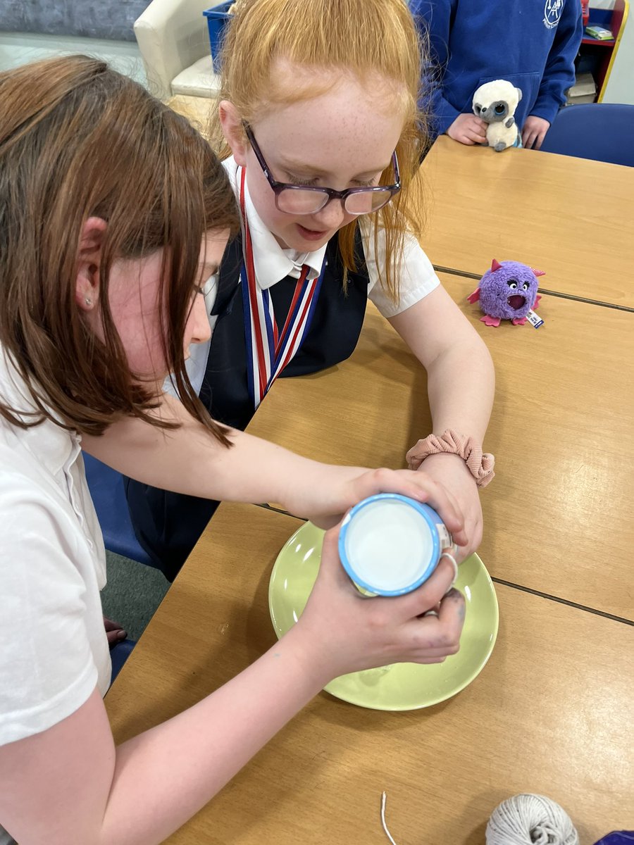 MrssmithG's tweet photo. STEM challenges today @airthprimary #iceandsalt #walkingwater https://t.co/dYDdpGInh4