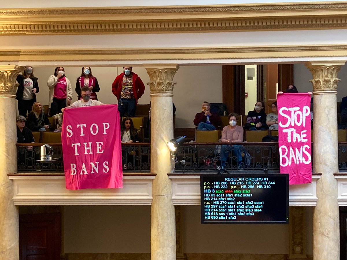 PPAAEast's tweet photo. Advocates tried to stop movement of the bill, but #HB3 moves forward. #BansOffOurBodies https://t.co/PmG8tEJYOr