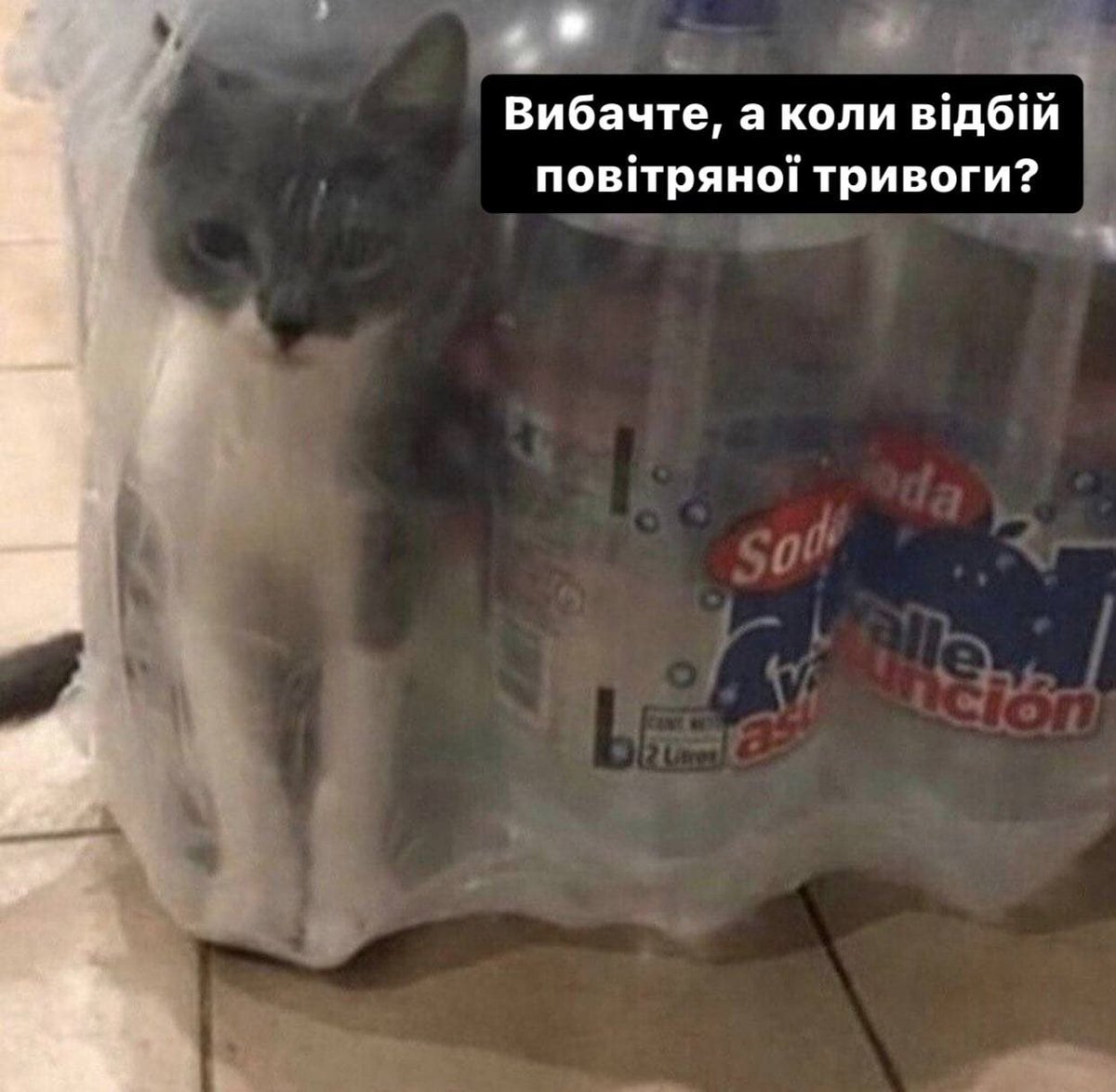 Актуалочка)