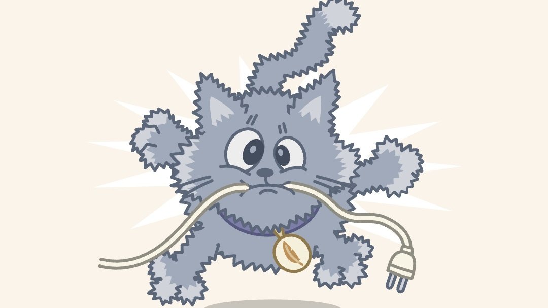 Кот фикбука. Фантики гифка. котик из фикбука.