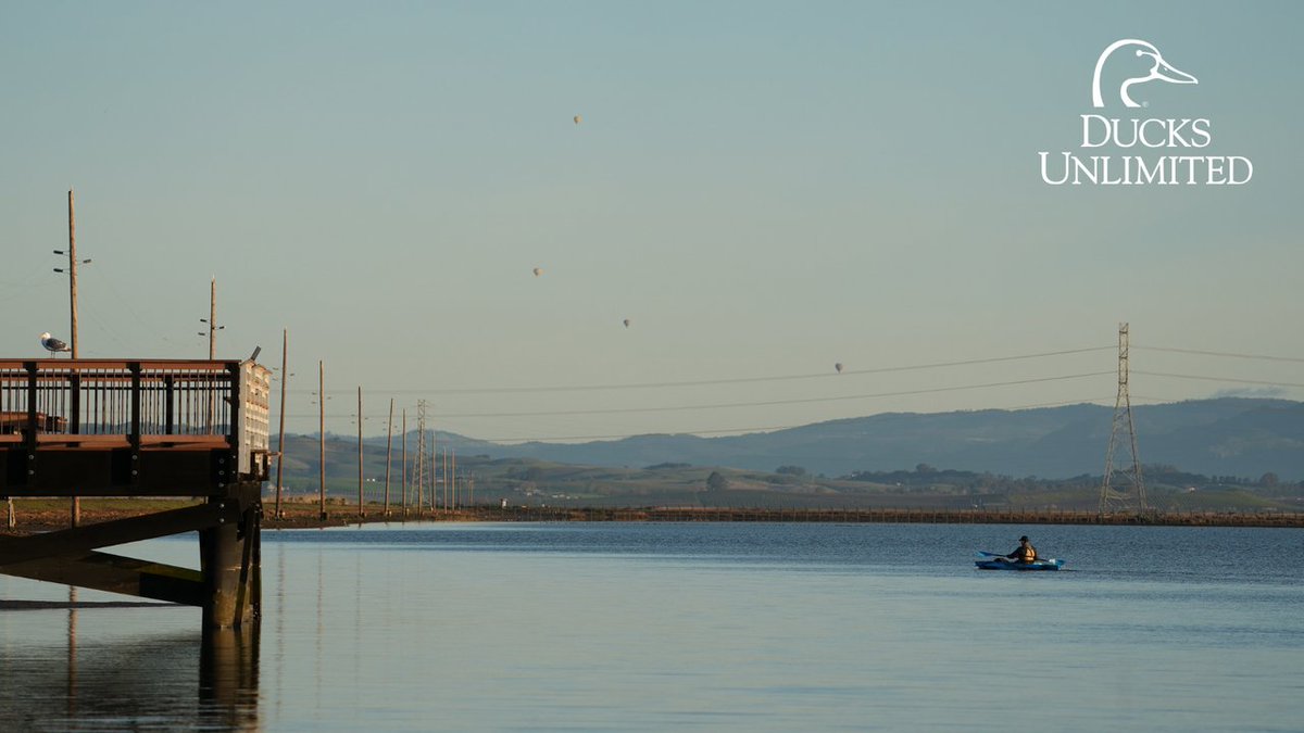 DucksWest's tweet photo. Each year, thousands of Californians utilize wetlands throughout the state for recreational purposes. Activities include walking, kayaking, fishing and so much more. 

At #DUWest, we work to conserve wetlands for the benefit of both people and wildlife. 🚣 🚴 🎣 https://t.co/8lae0sHE1a