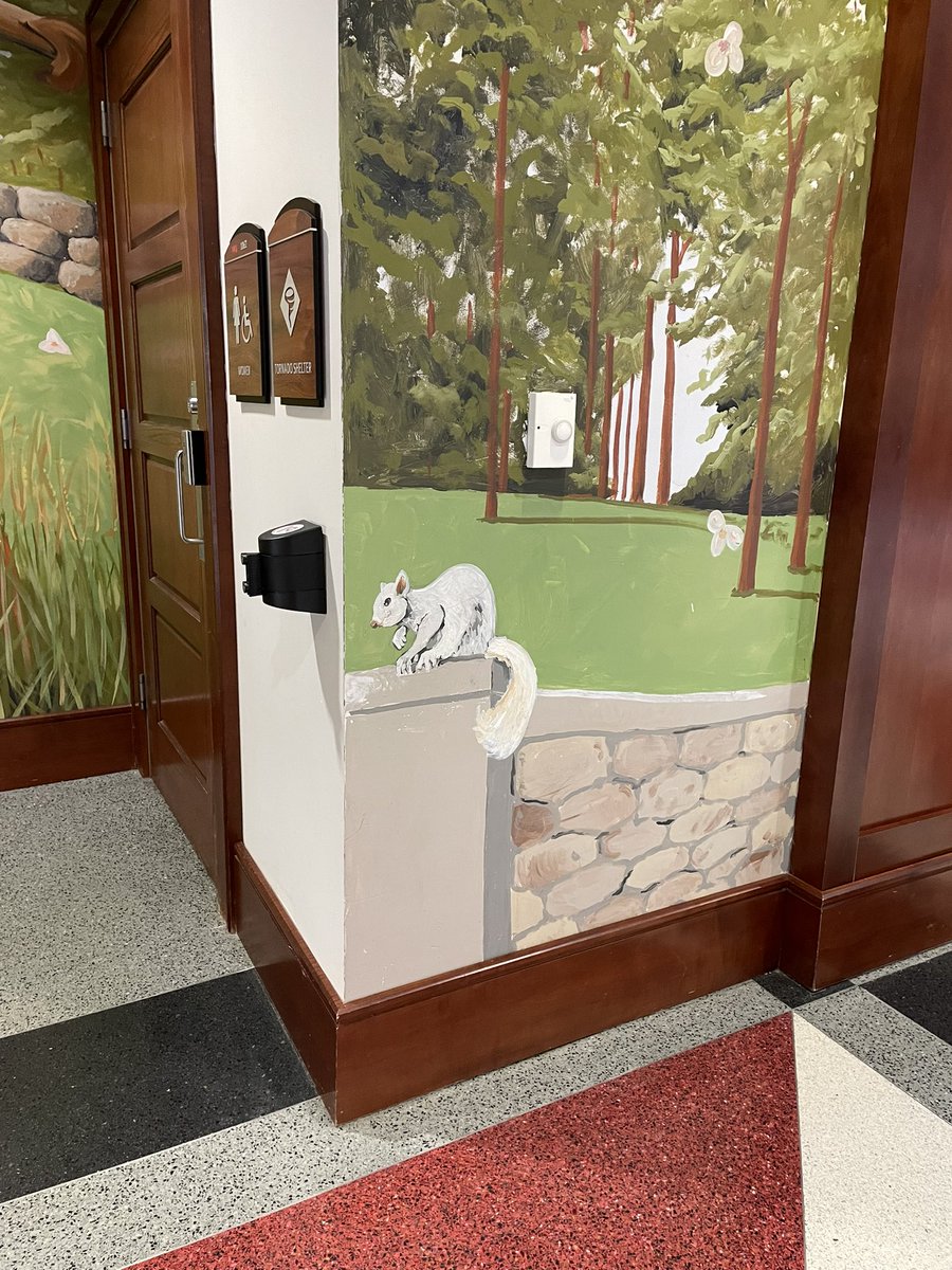 abbcheer's tweet image. The iconic white squirrel #whitesquirrel #WKU #smmwku @hopewells75 @jonath4n_jordan @jamalec21 @MJ020703