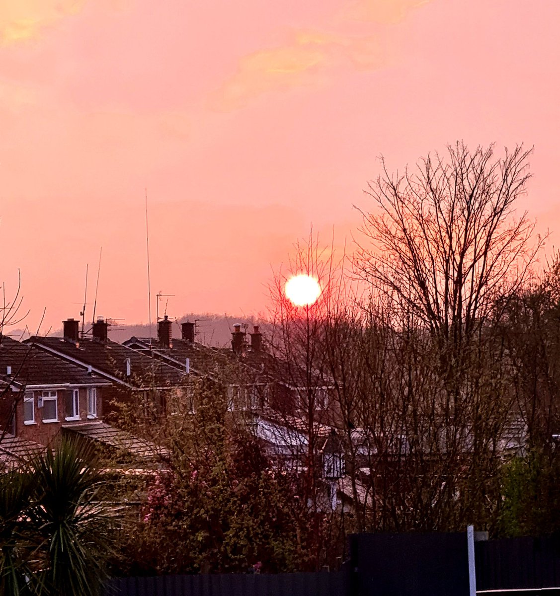 IBDBatman's tweet image. 🌞 Sunshine after the rain 🌧 
Golborne, Warrington 
#SamsungS20 
@JoBlytheTV @GranadaReports 
😘💋 #IBDBatman