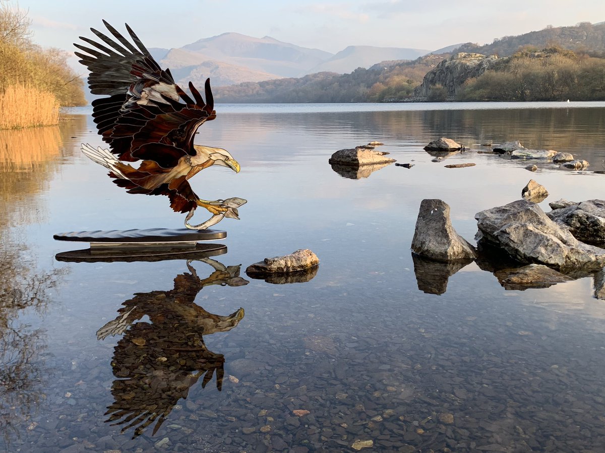 The dream of a White-tailed #Eagle hunting in #Snowdonia…
When a piece is finished, sometimes I take the opportunity of photos in this beautiful landscape; it’s a harsh test of the piece, to put it in a natural setting. But, in this case, it feels so right.