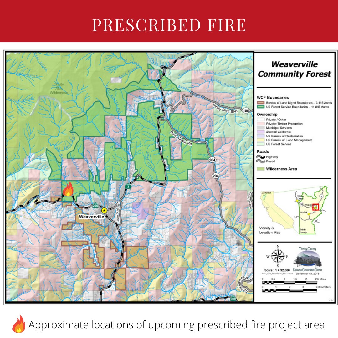 FireSafeTrinity's tweet photo. Did you see the light smoke yesterday? @ShastaTrinityNF continues to reduce fuels with prescribed fire within the #WeavervilleCommunityForest and along State Route 299. #FireSafeTrinity https://t.co/PgSRoxjBzR
