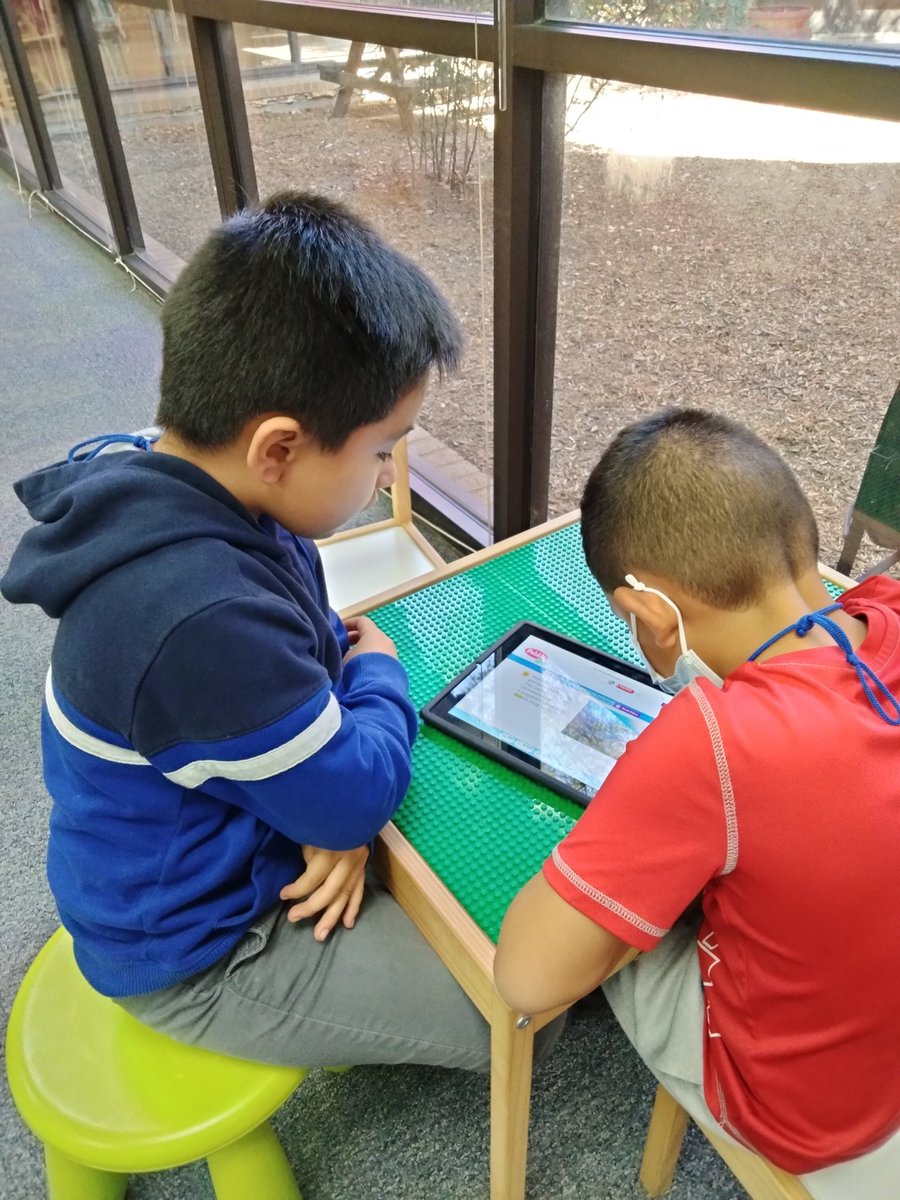 Kinder and 1st students are researching with <a href="/CapstonePub/">Capstone 📚</a> #PebbleGo this week.