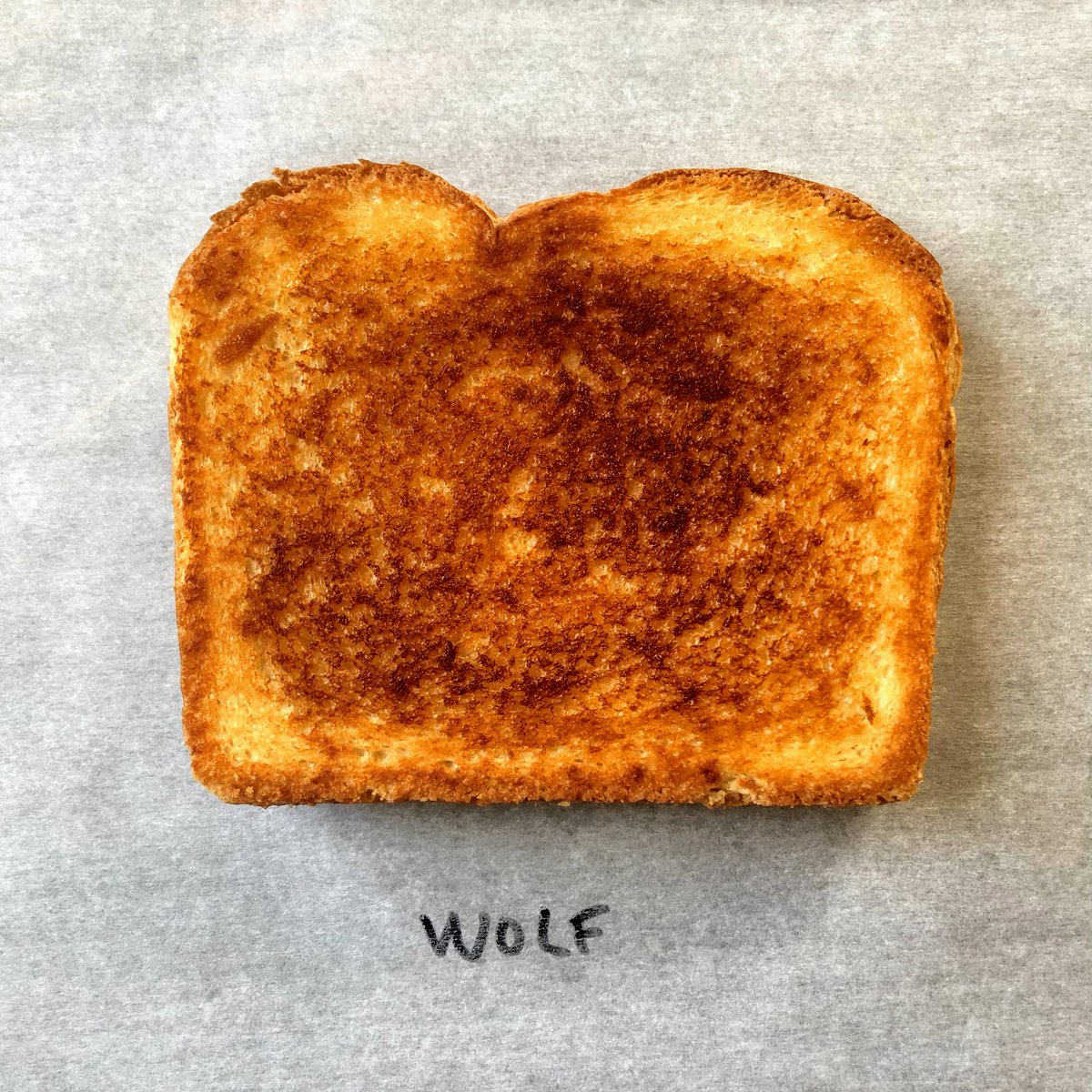 Jonathan Bender (@jonathanbender) on Twitter photo I'm almost ready to eat cheese again. I'm kidding. I never stopped. A piece on testing electric griddles for <a href="/Allrecipes/">Allrecipes</a>. allrecipes.com/article/best-e… I'm almost ready to eat cheese again. I'm kidding. I never stopped. A piece on testing electric griddles for <a href="/Allrecipes/">Allrecipes</a>. allrecipes.com/article/best-e…